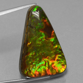 Ammolita multicolor natural de 20,75 ct, trillón, opaco