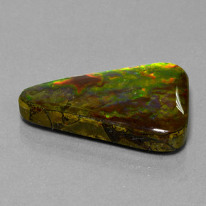 Ammolita multicolor natural de 20,75 ct, trillón, opaco