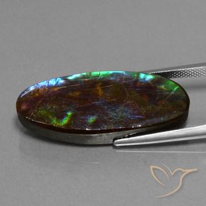 amolita Multicolor natural de 22.01 ct, Ovalada, Opaco