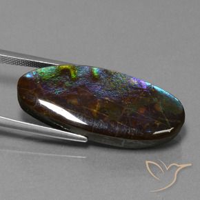 amolita Multicolor natural de 22.01 ct, Ovalada, Opaco
