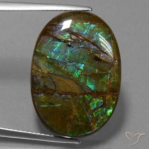 18.60ct Natural Multicolor amolita, Ovalada, Opaco