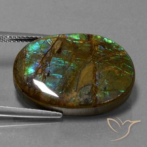 amolita Multicolor natural de 18.60 ct, Ovalada, Opaco