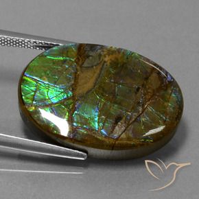 amolita Multicolor natural de 18.60 ct, Ovalada, Opaco
