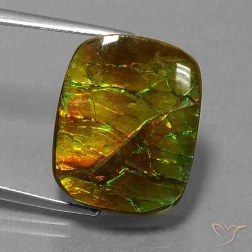 14.83ct Natural Multicolor amolita, Forma Cojín, Opaco