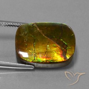amolita Multicolor natural de 14.83 ct, Forma Cojín, Opaco