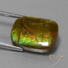 amolita Multicolor natural de 14.83 ct, Forma Cojín, Opaco