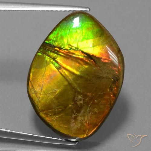 16.27ct Natural Multicolor amolita, Elegante, Opaco