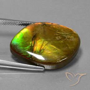 amolita Multicolor natural de 16.27 ct, Elegante, Opaco