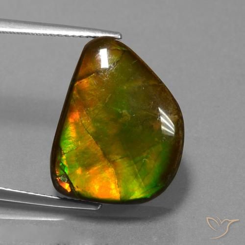 13.25ct Natural Multicolor amolita, Elegante, Opaco