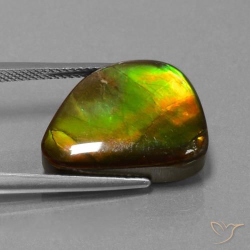 amolita Multicolor natural de 13.25 ct, Elegante, Opaco