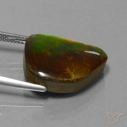 amolita Multicolor natural de 13.25 ct, Elegante, Opaco