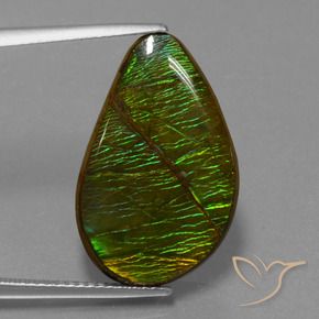 amolita Multicolor natural de 13.12 ct, Elegante, Opaco