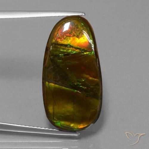 15.26ct Natural Multicolor amolita, Elegante, Opaco
