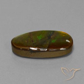 amolita Multicolor natural de 15.26 ct, Elegante, Opaco