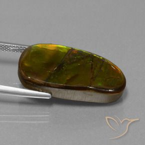 amolita Multicolor natural de 15.26 ct, Elegante, Opaco