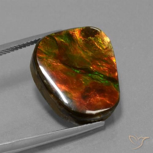 14.52ct Natural Multicolor amolita, Elegante, Opaco