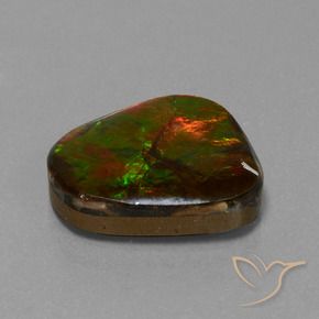 amolita Multicolor natural de 14.52 ct, Elegante, Opaco