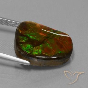 amolita Multicolor natural de 14.52 ct, Elegante, Opaco