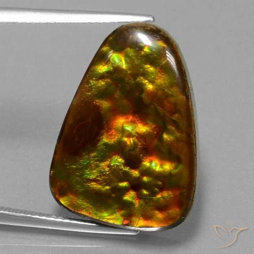 15.67ct Natural Multicolor amolita, Trillón, Opaco