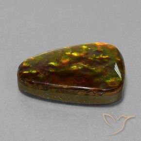 amolita Multicolor natural de 15.67 ct, Trillón, Opaco