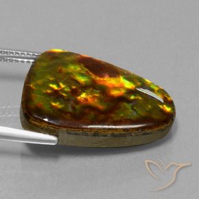 amolita Multicolor natural de 15.67 ct, Trillón, Opaco