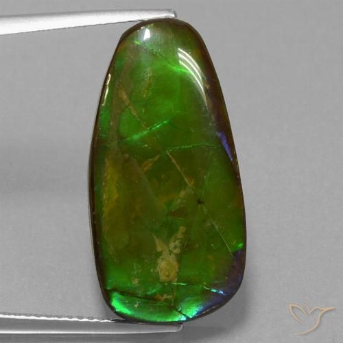 13.82ct Natural Multicolor amolita, Elegante, Opaco