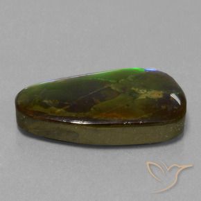 amolita Multicolor natural de 13.82 ct, Elegante, Opaco