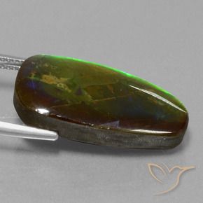 amolita Multicolor natural de 13.82 ct, Elegante, Opaco