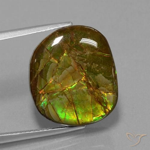 13.05ct Natural Multicolor amolita, Elegante, Opaco
