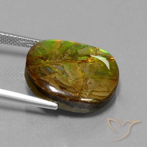 amolita Multicolor natural de 13.05 ct, Elegante, Opaco