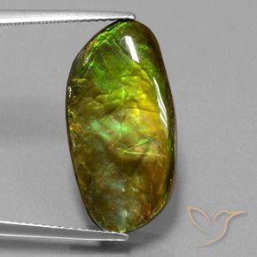 amolita Multicolor natural de 11.74 ct, Elegante, Opaco
