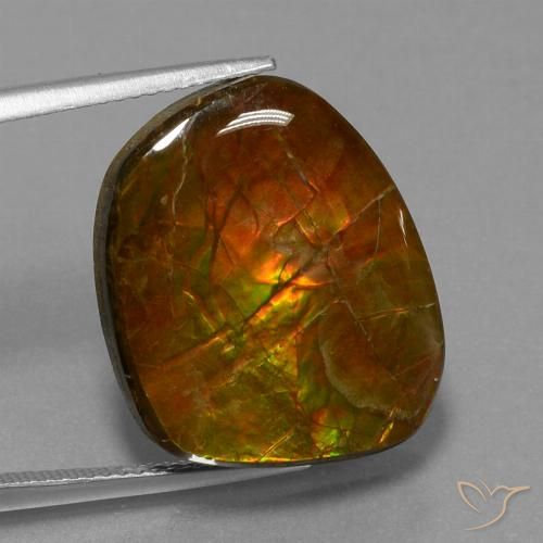 16.13ct Natural Multicolor amolita, Elegante, Opaco