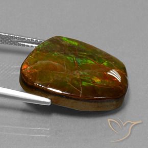 amolita Multicolor natural de 16.13 ct, Elegante, Opaco