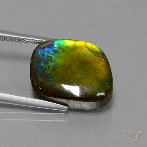 amolita Multicolor natural de 11.27 ct, Forma elegante, Opaco