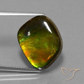 amolita Multicolor natural de 11.27 ct, Forma elegante, Opaco