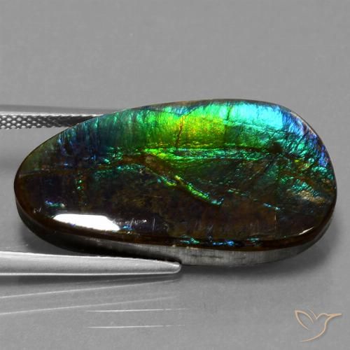 16.95ct Natural Multicolor amolita, Elegante, Opaco
