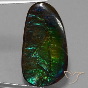 amolita Multicolor natural de 16.95 ct, Elegante, Opaco