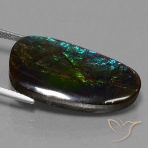 amolita Multicolor natural de 16.95 ct, Elegante, Opaco