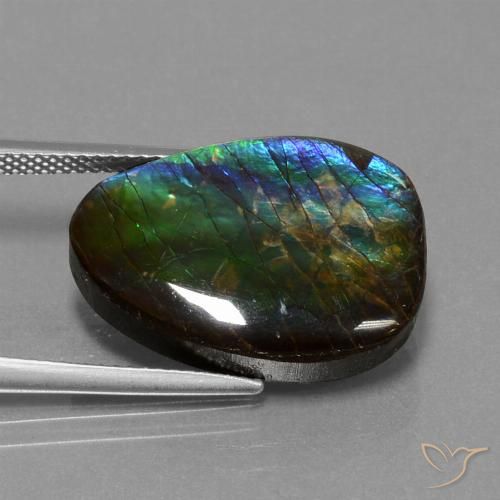 14.77ct Natural Multicolor amolita, Elegante, Opaco
