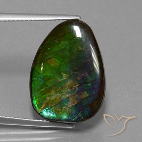 amolita Multicolor natural de 14.77 ct, Elegante, Opaco