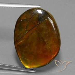 amolita Multicolor natural de 15.55 ct, Elegante, Opaco