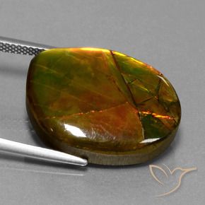 amolita Multicolor natural de 15.55 ct, Elegante, Opaco
