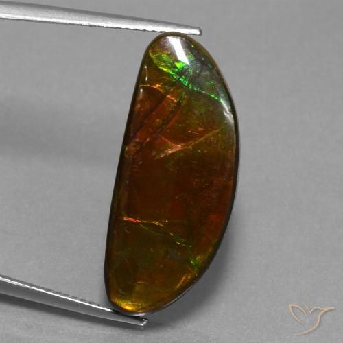 14.62ct Natural Multicolor amolita, Elegante, Opaco