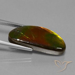 amolita Multicolor natural de 14.62 ct, Elegante, Opaco