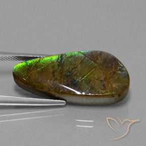 amolita Multicolor natural de 16.23 ct, Elegante, Opaco