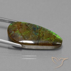 amolita Multicolor natural de 16.23 ct, Elegante, Opaco