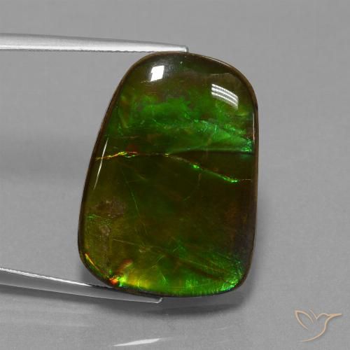 23.19ct Natural Multicolor amolita, Elegante, Opaco