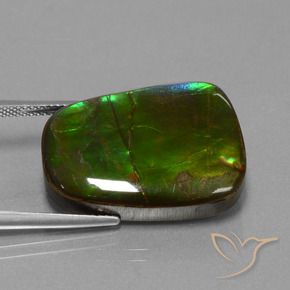 amolita Multicolor natural de 23.19 ct, Elegante, Opaco