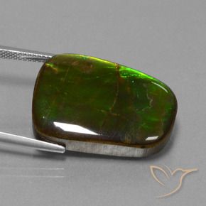 amolita Multicolor natural de 23.19 ct, Elegante, Opaco