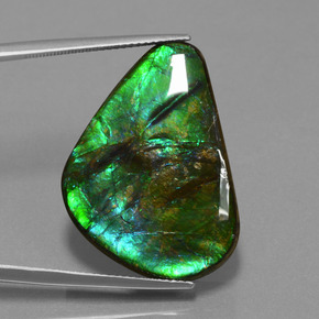 Ammolita multicolor natural de 24,56 ct, trillón, opaco